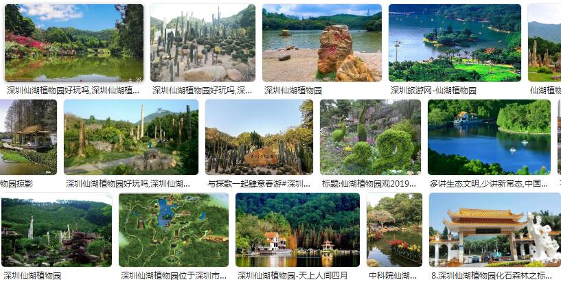 10月份去深圳仙湖植物园需要预约吗有什么花看